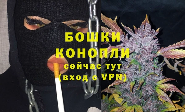 ПСИЛОЦИБИНОВЫЕ ГРИБЫ Горняк